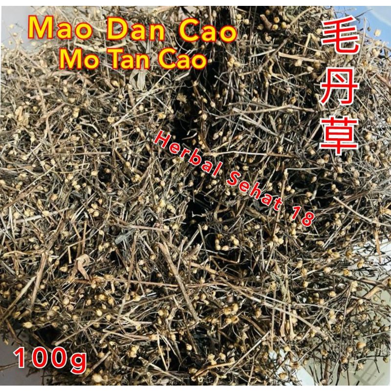 

Mao Dan Cao / Mo Tan Cho / Motanco 100g Herbal Untuk Tipes