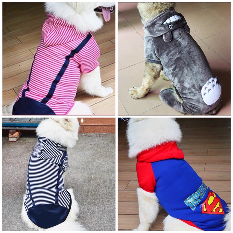 Baju Anjing Besar Golden Husky pet clothes