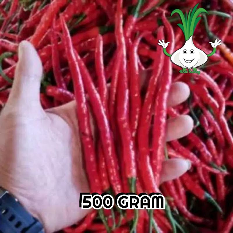 

500 gram cabe keriting fresh