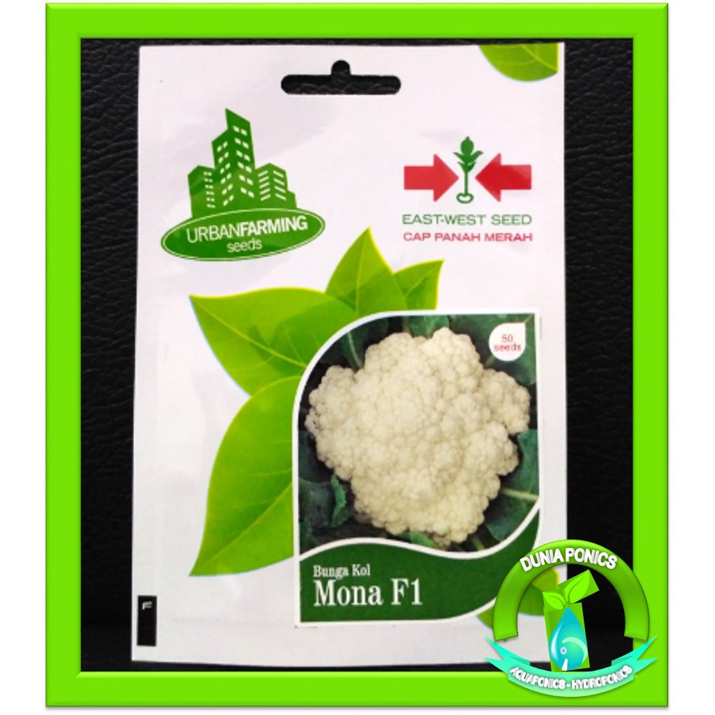 1 Pack Benih Bunga Kembang Kol MONA F1 Cap Panah Merah Kemasan Asli Personal Pouch 50 Butir
