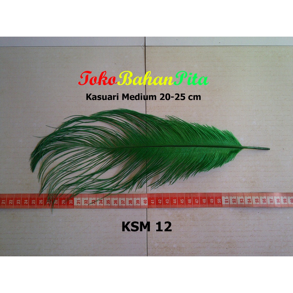 (1 HELAI) BULU DEKORASI 20-25cm KSM 12 | OSTRICH | BULU HIAS | BULU CRAFT | TOKO BAHAN PITA