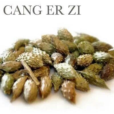 

10 G 50 GR 100 GRAM 苍耳子 CANG ER ZI XANTHIUM FRUIT