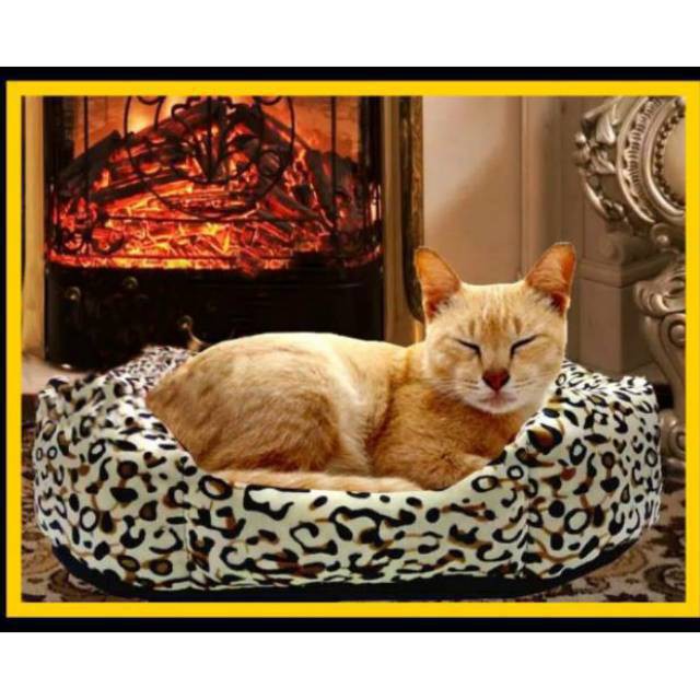 Tempat tidur kucing/anjing/Warm Bed/Pets Bed Kecil / kasur kucing