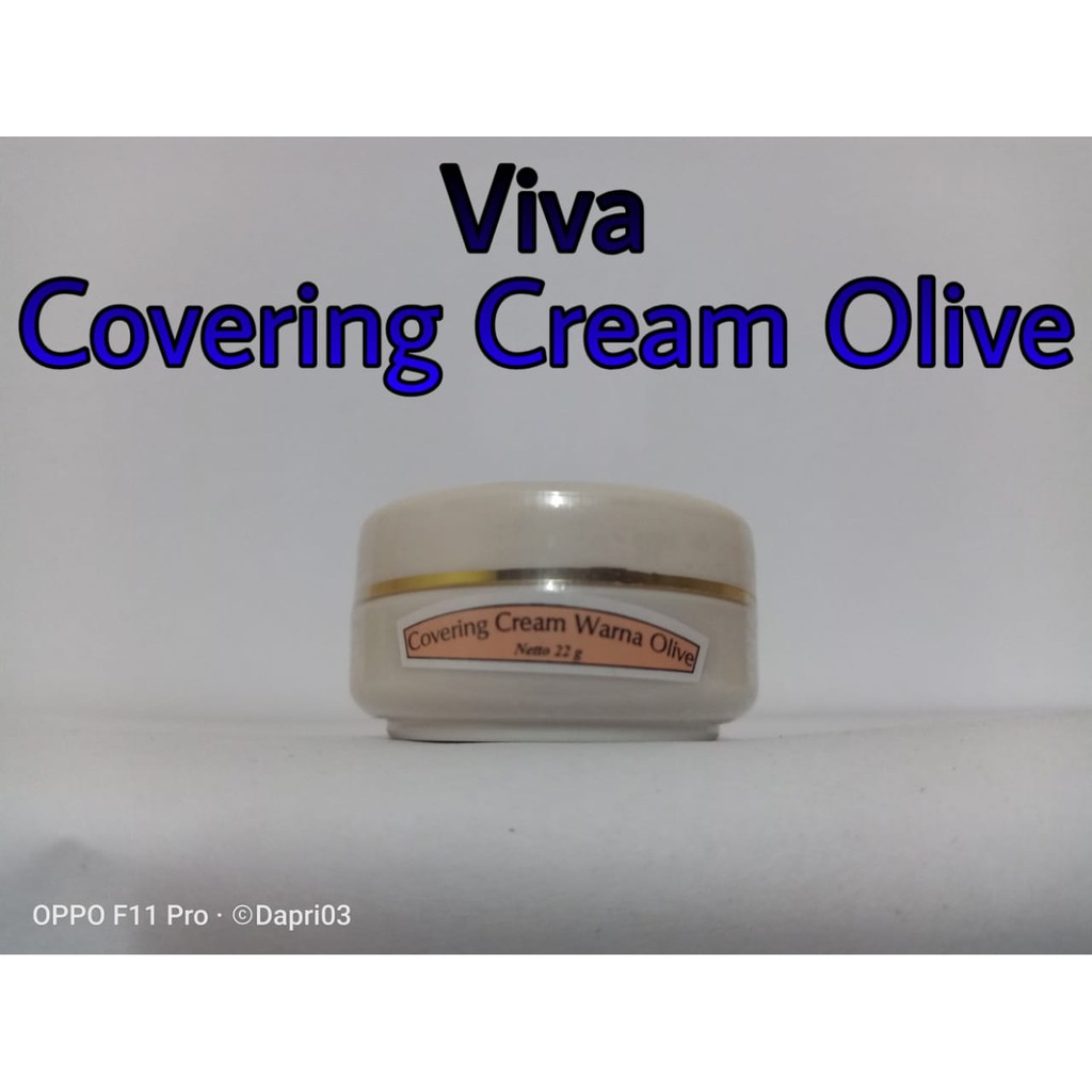 (BOSS) VIVA COVERING CREAM 22g ( Brown / Olive / Beige ) - Viva Foundation Covering cream 22g