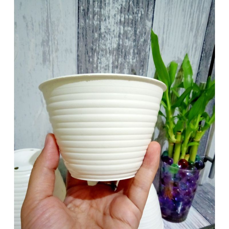 POT TAWON MDN 10 - POT TAWON 10 CM - POT TANAMAN HIAS KAKTUS/ SUKULEN