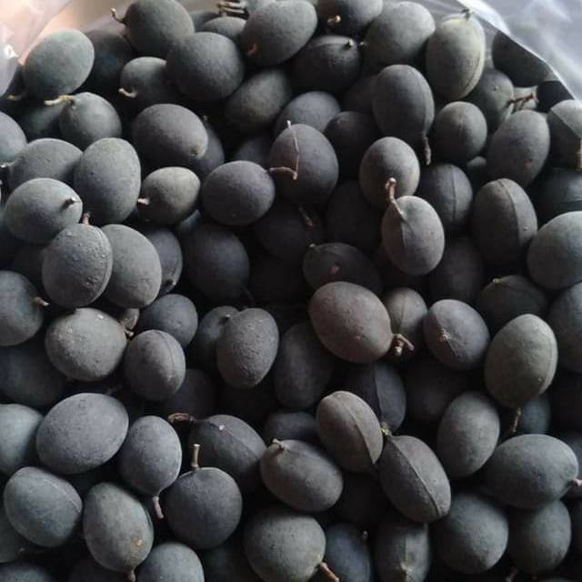 

Keranji buah langkah tahunan