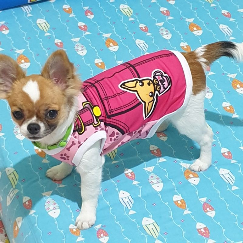 [satuan] Baju Kaos Doggie untuk Anjing Kecil Chihuahua Pomeranian Kucing Cat