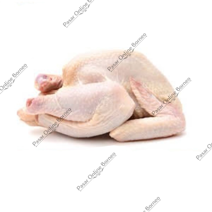 

Daging Segar Ayam Merah Ayam Telur Ayam Sotoan Ukuran Sedang