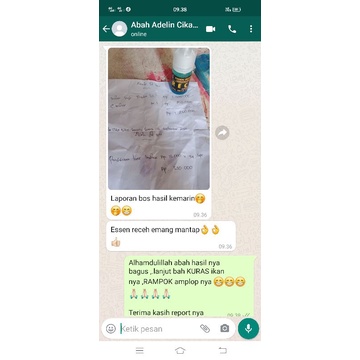 ESSEN ikan mas GERANIUM LECI_essen OPLOSAN ikan mas BABON + RAME _essen OPLOSAN GALAPUNG _ essen