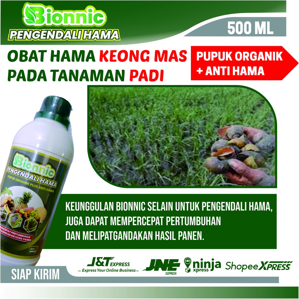 Obat Hama Keong Kecil Obat Hama Keong Racun - BIONNIC Obat Pengendali Hama Keong Terbaik Pada Padi -