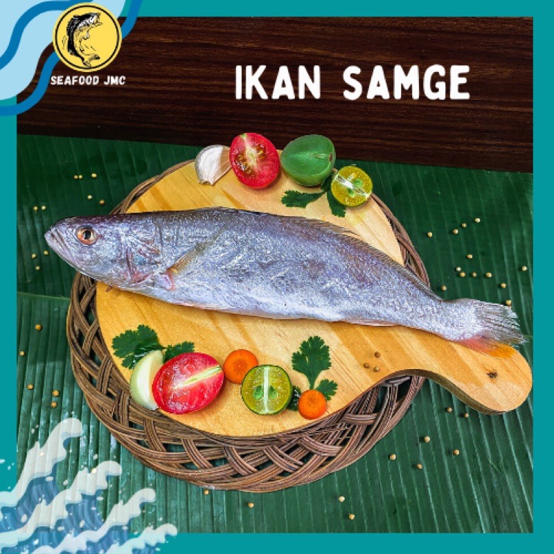 

Ikan Samge SEGAR BERGIZI / pack