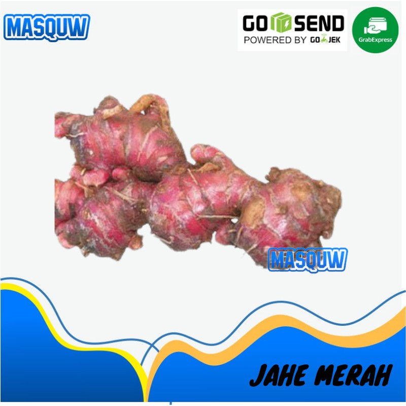 

JAHE MERAH SEGAR SAYURAN EMPON EMPON FRESH KUALITAS SUPER BESAR