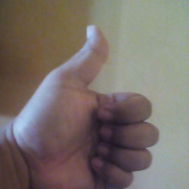 Pisau Buah Stainlees