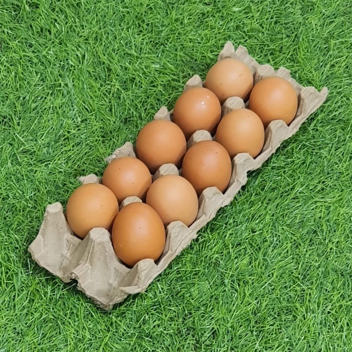 

TELUR AYAM (pack @ 10pcs)