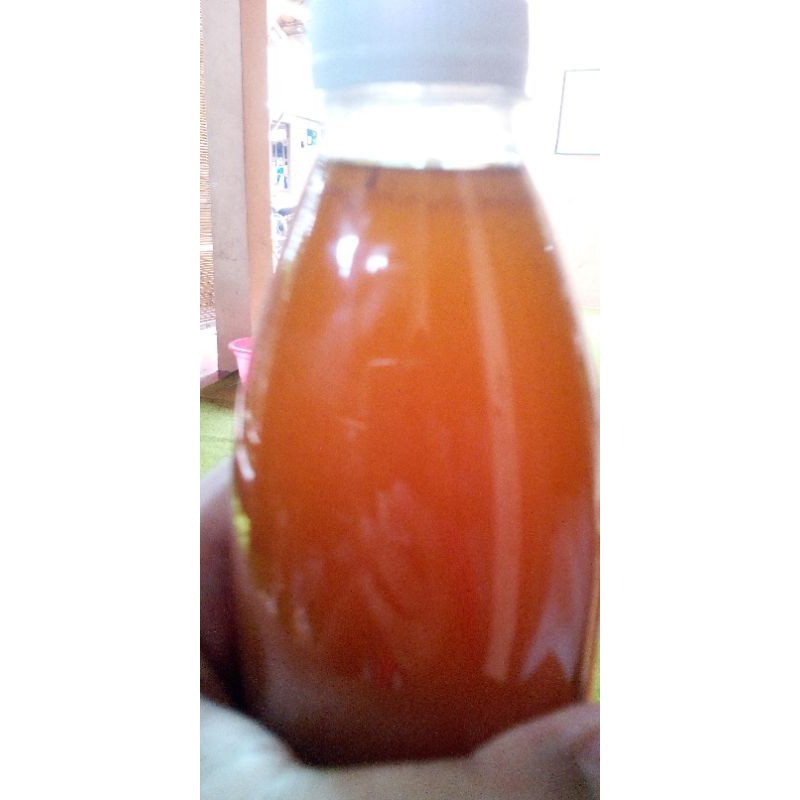 

madu klanceng lebah trigona levichep