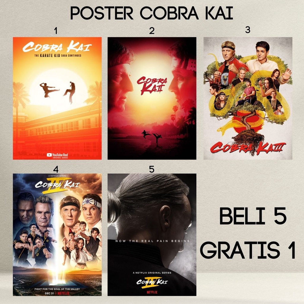 Poster Cobra Kai Netflix Series The Karate Kid Daniel Larusso Ralph Macchio Peyton List Tanner Bucha