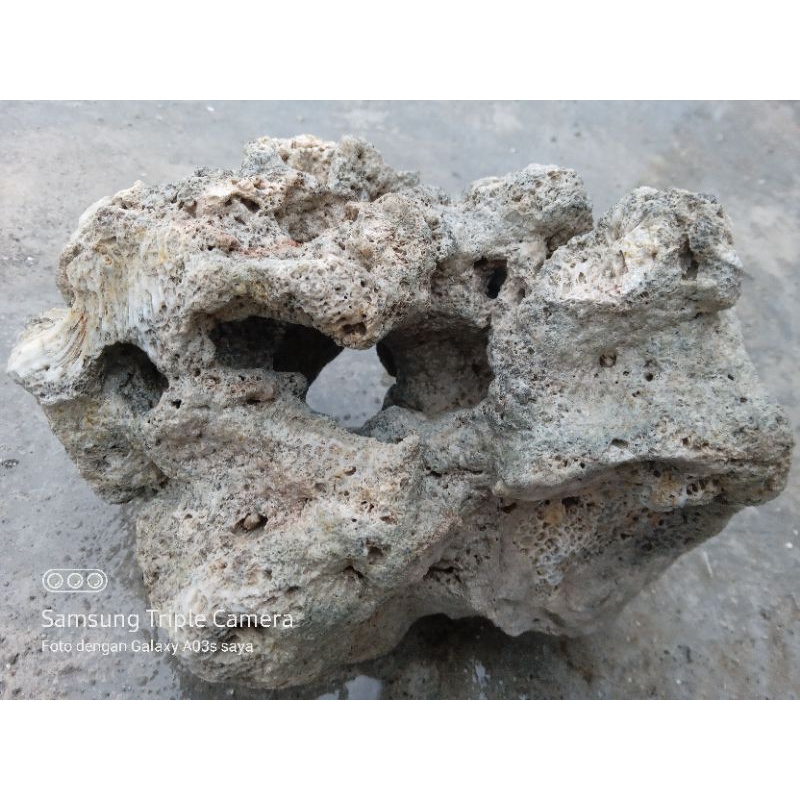 Batu karang hias aquarium rumah ikan karang laut