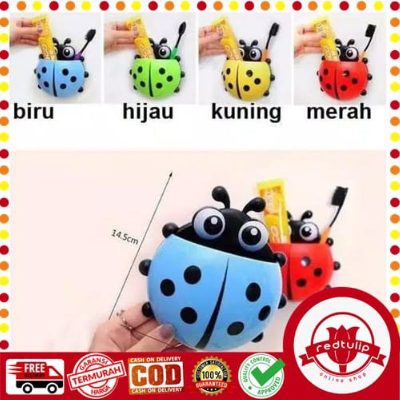 Tempat Sikar Gigi Kumbang / Odol / Ladybug Toothbrush