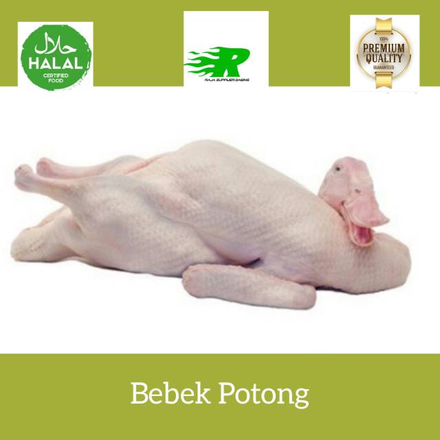 

Jual bebek potong 1.1-1.2 kg paling murah se jabodetabek