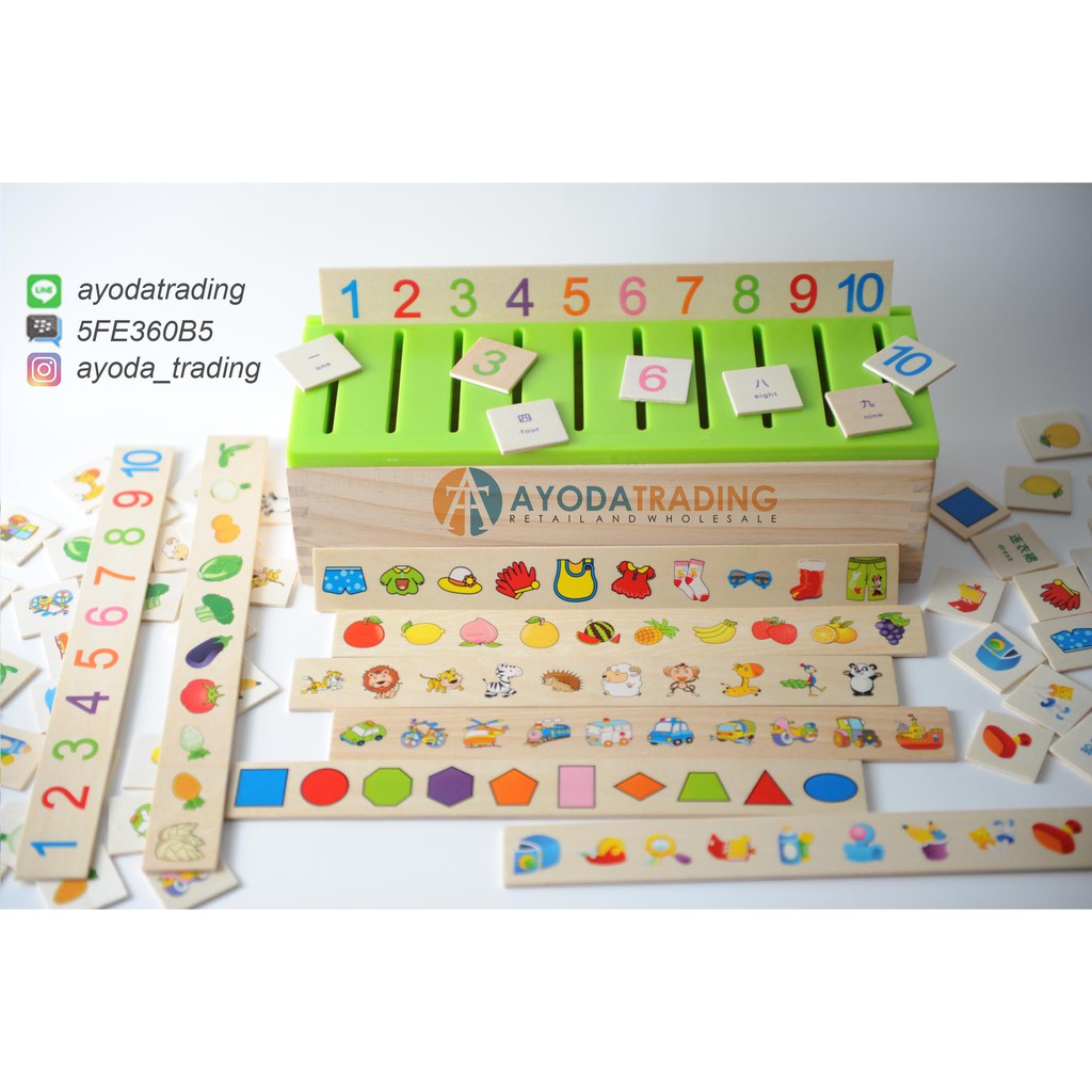 Classification Box Sorting Game mainan edukasi mainan montessori