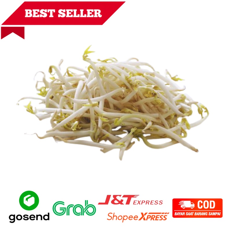 

Toge, Kecambah Fresh, 250gr, sayuran sehat segar Bandung