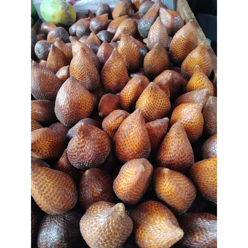 

salak pondoh