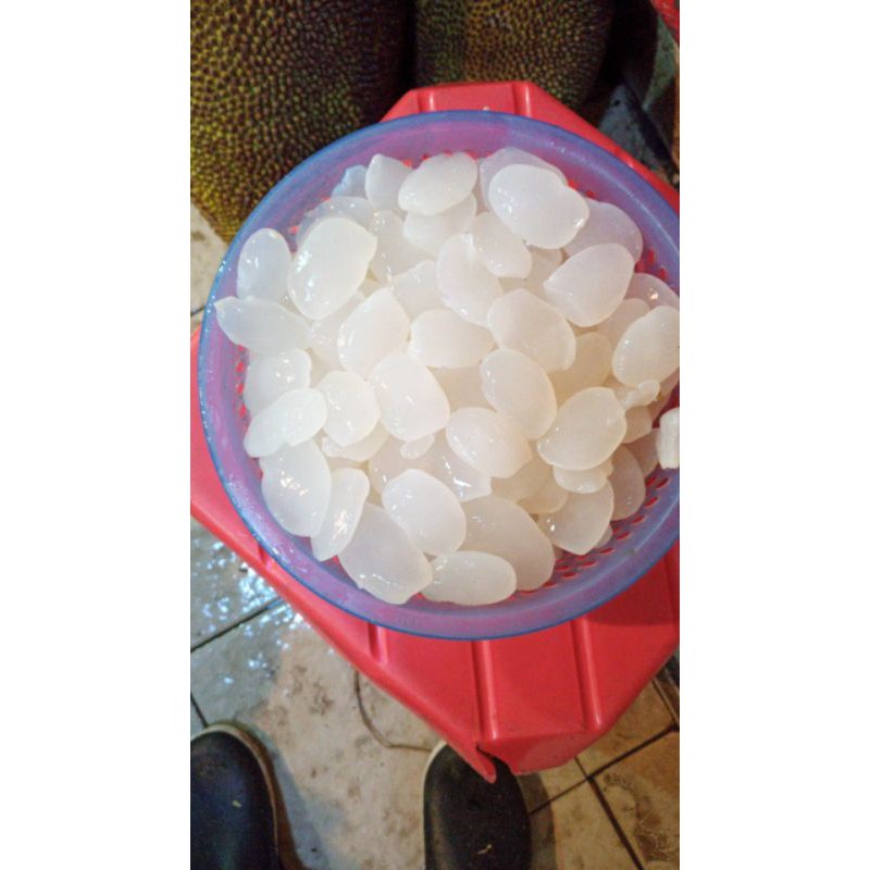 

Kolang Kaling Super Medan