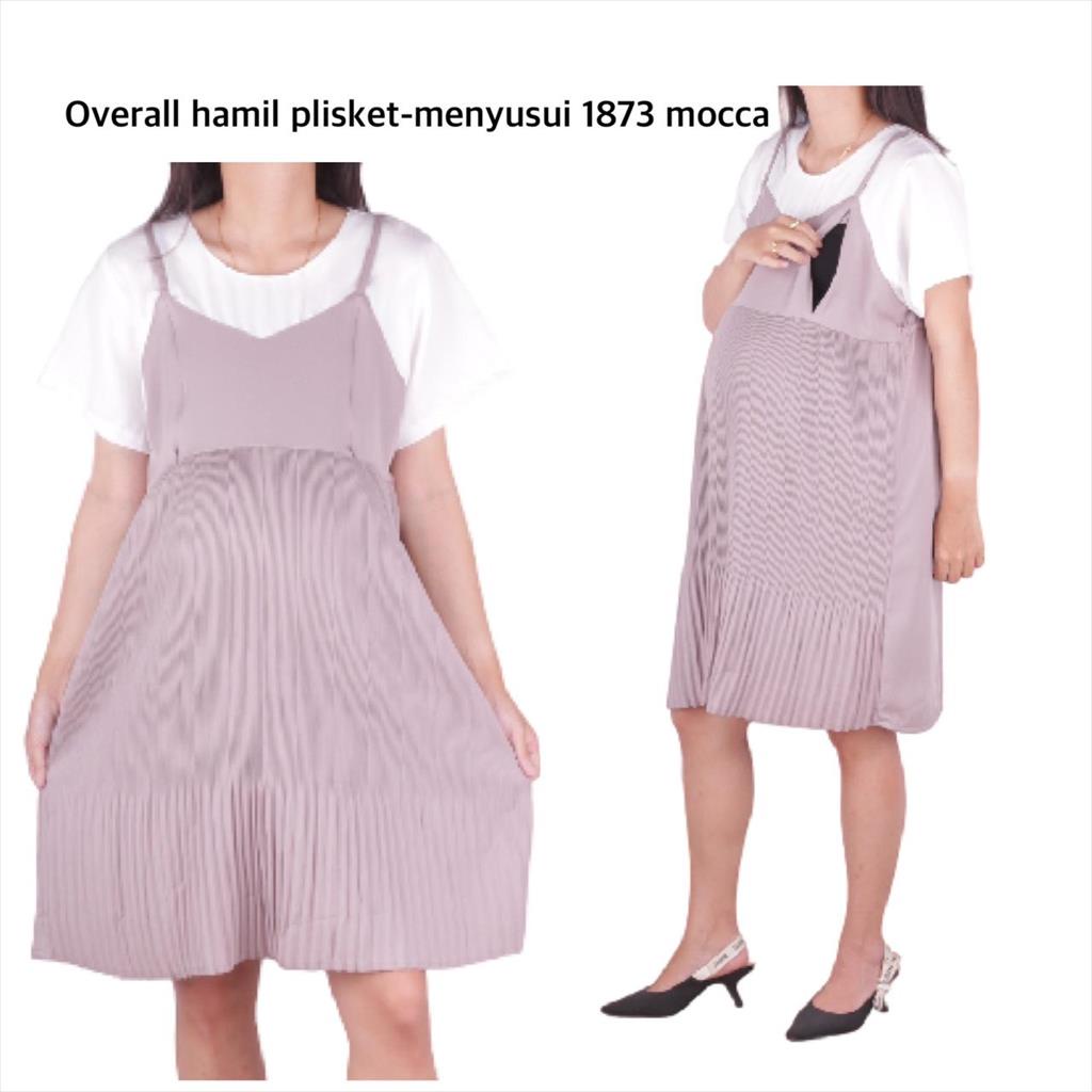 Overall Hamil Dan Menyusui 1873