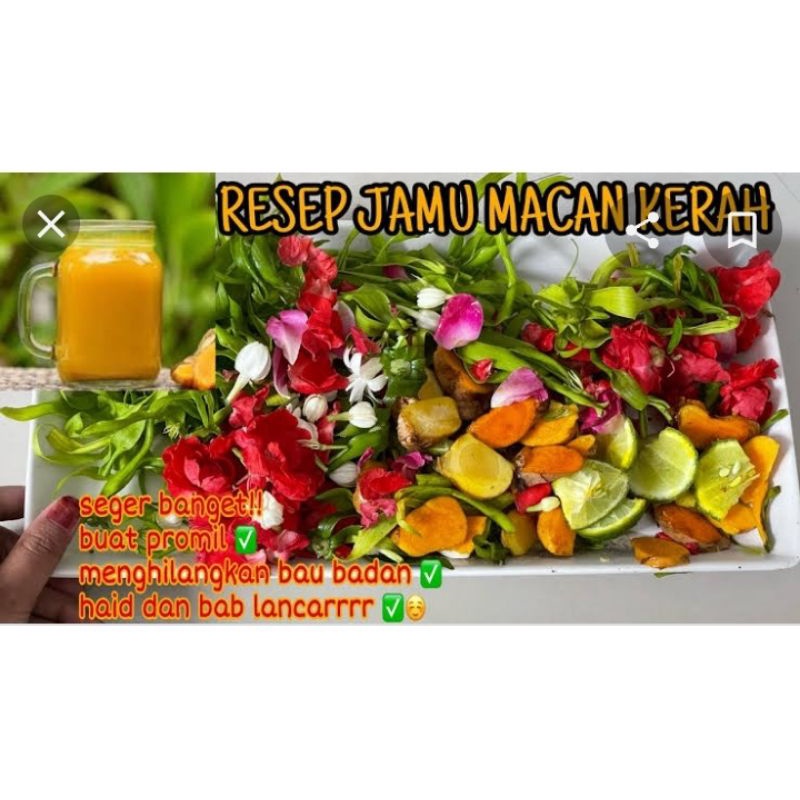 

macan kerah