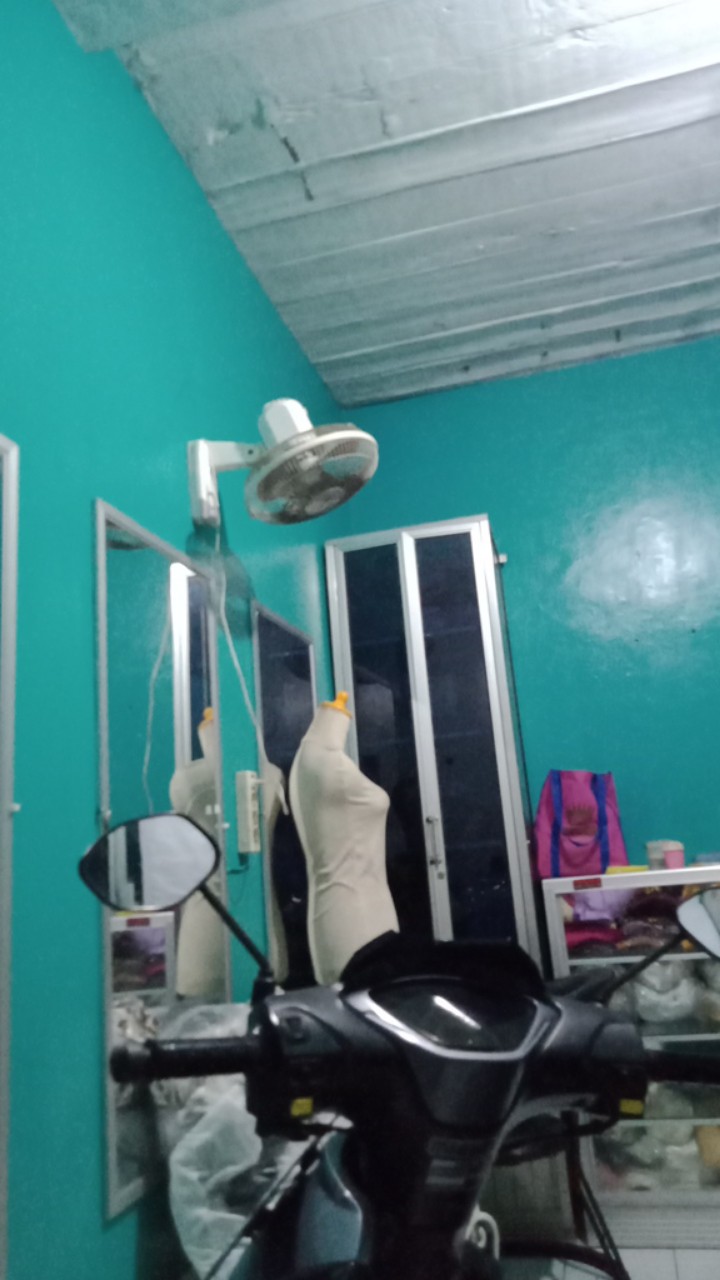 Mentul Bintang/ Kembang Goyang Bintang Lidi