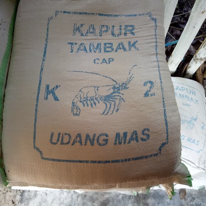 kapur dolomit alas reptil/kapur tambak untuk ikan&udang murah
