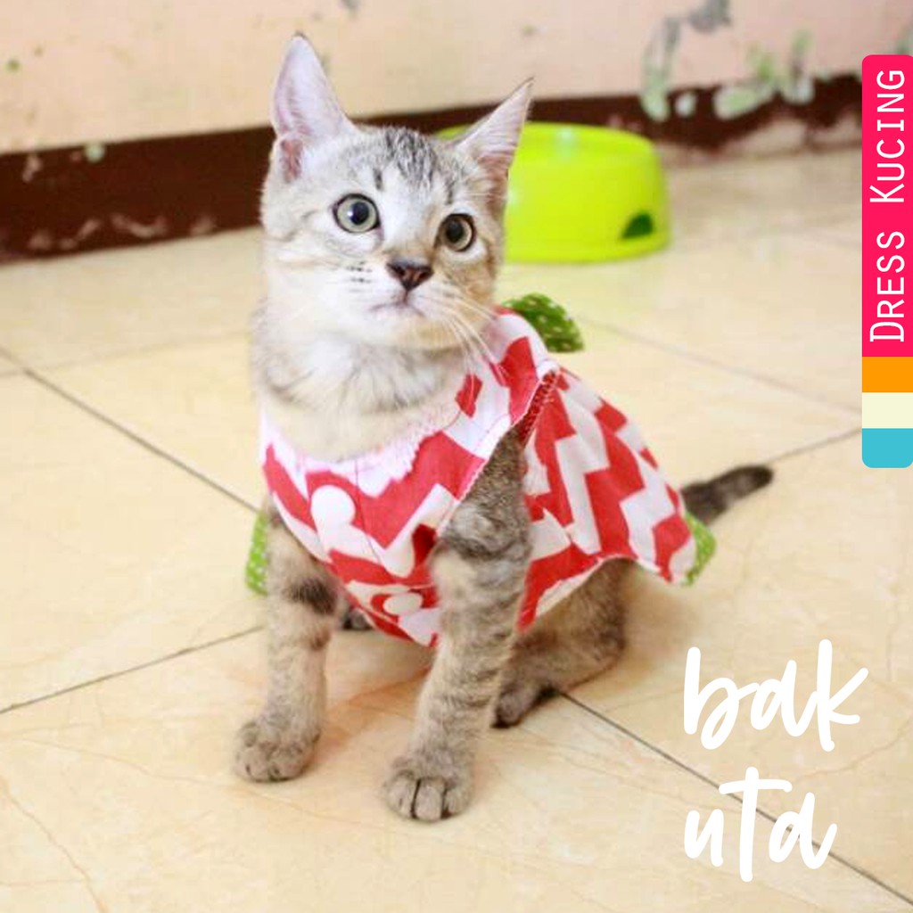 Dress rasa semangka dress kucing lucu murah baju kucing terlaris size S-XL