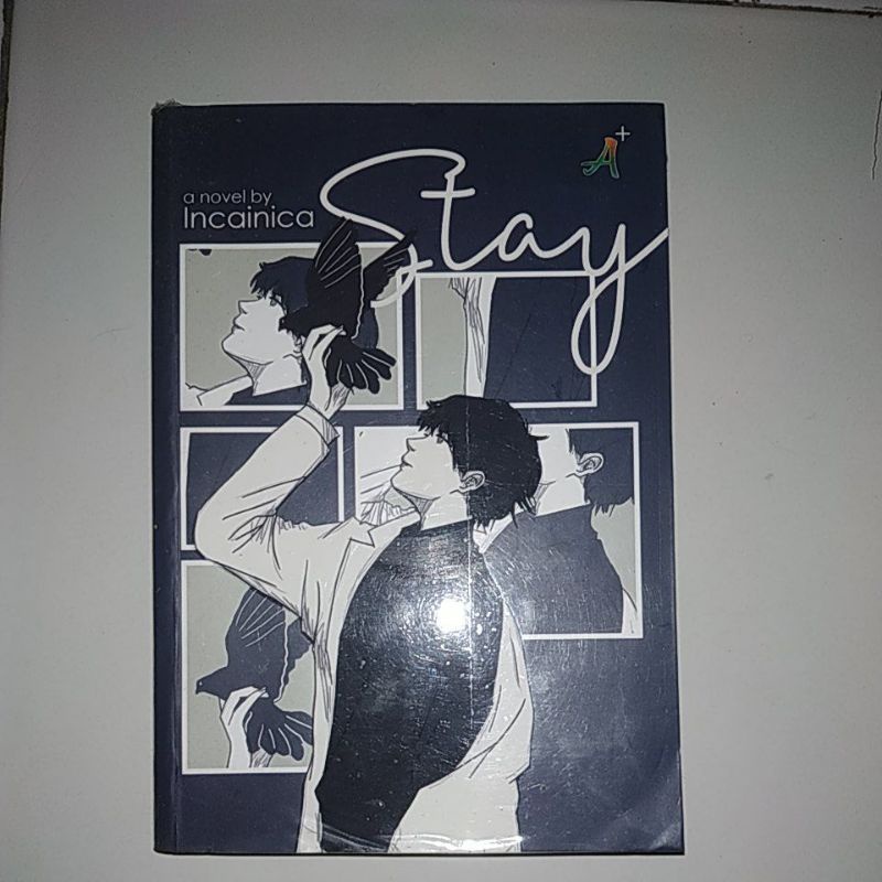 

novel stay