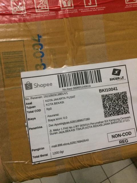 Tempat Sikat Gigi Kumbang Lady Bug Organizer Odol Tooth Brush Holder