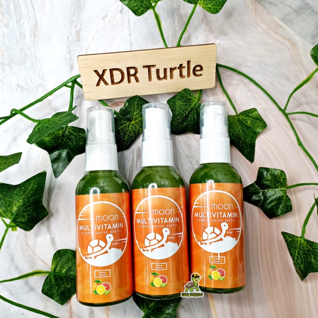 MOON MULTIVITAMIN KURA DARAT PENAMBAH NAFSU MAKAN SULCATA PARDALIS HERMANI ISTAR ALDABRA RADIATA