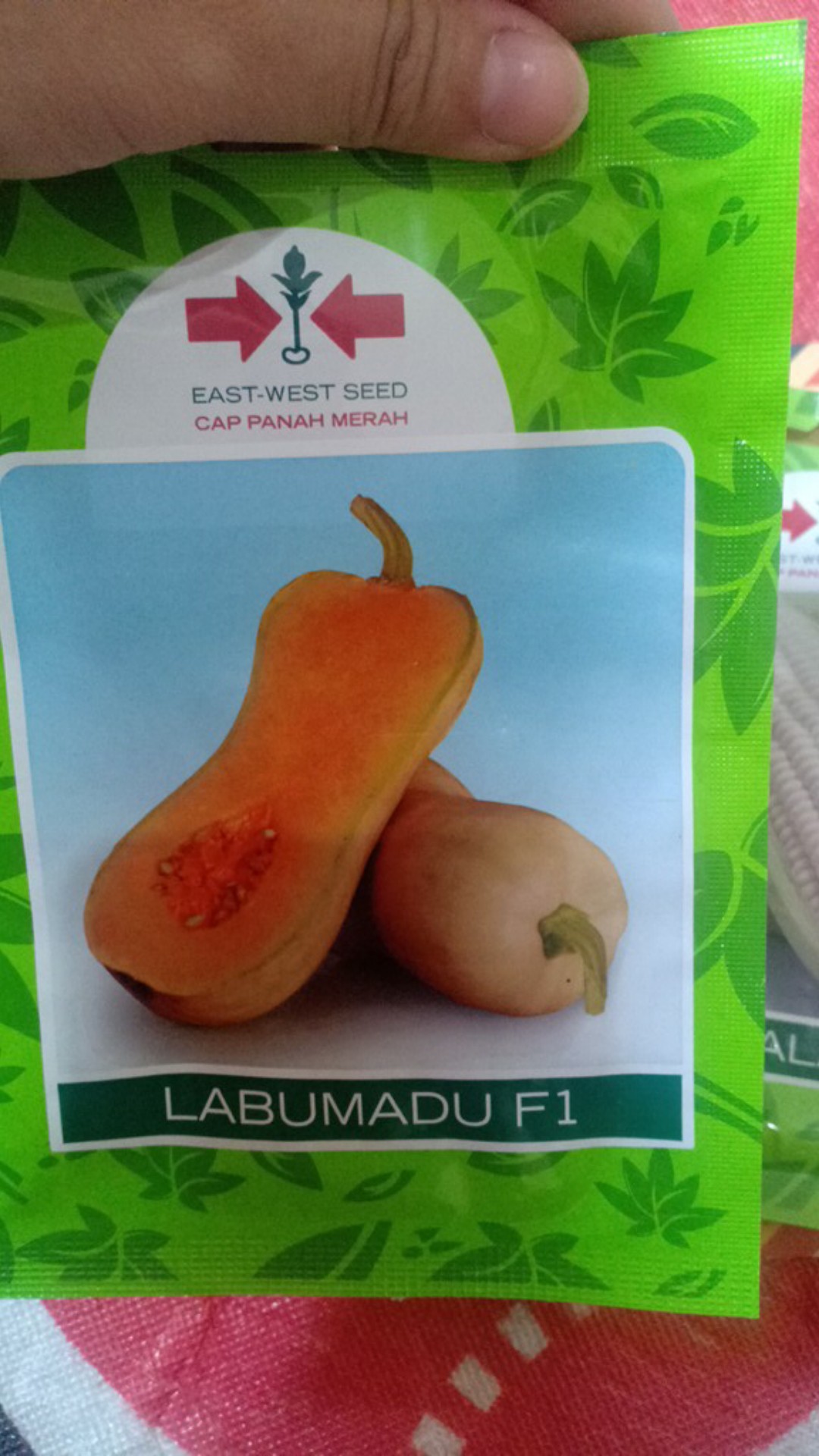 Benih Bibit Labu Madu Labu Madu F1 Isi(10btr)