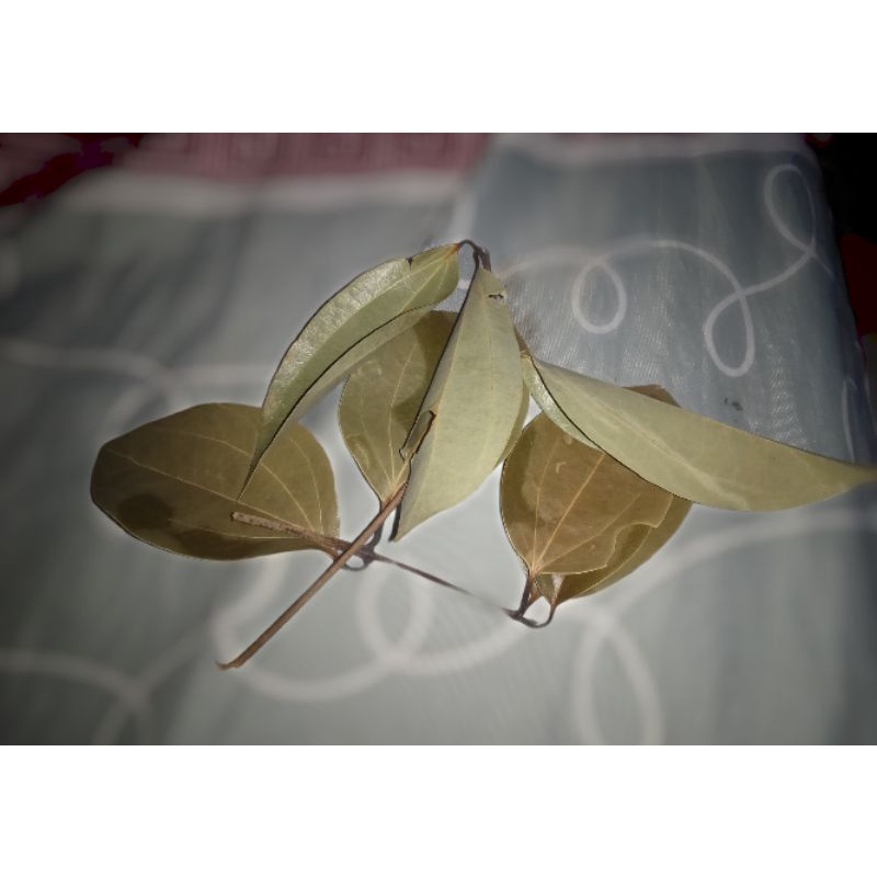 

daun kayu manis 250gram