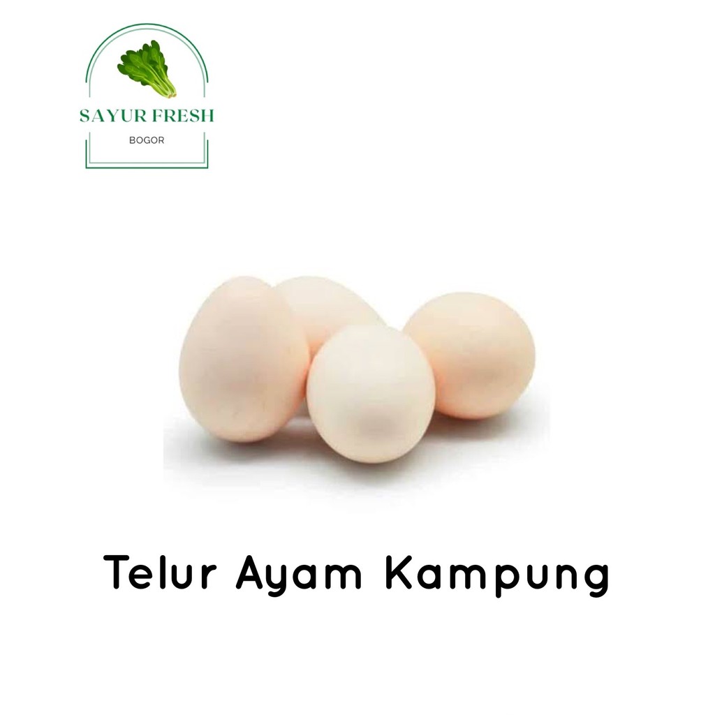 

Telur Ayam Kampung Asli fresh dari kandang / Telur Ayam Kampung Bogor (per 6 pcs)