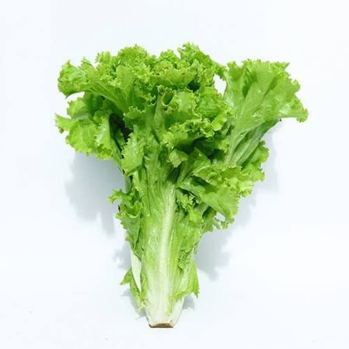 

SELADA AIR 200 GR