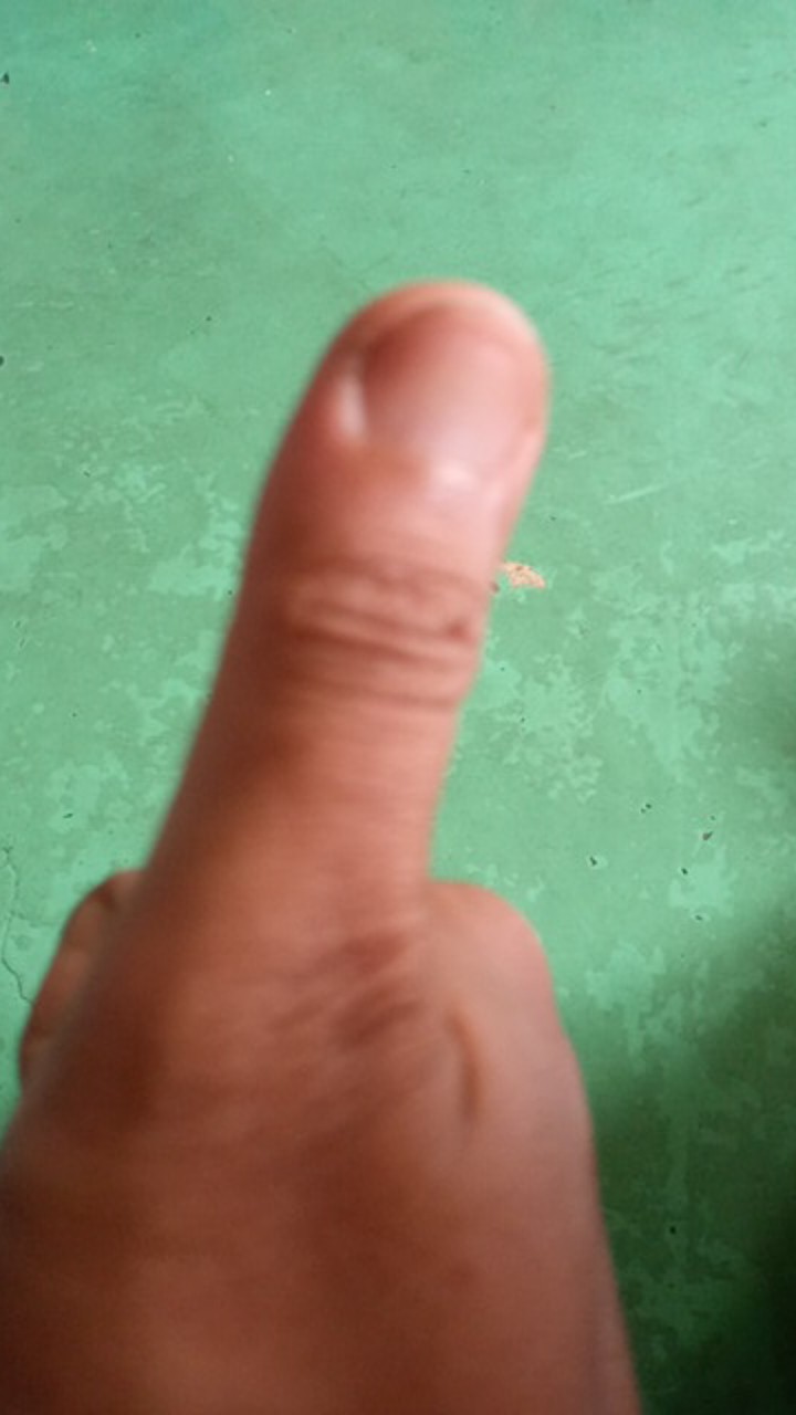 Pengupas Buah / Pisau Pengupas Buah