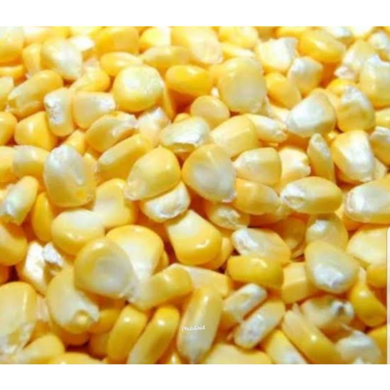 

Jagung Pipil Madu Super.