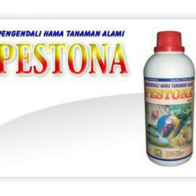 PESTONA NASA / Pengendalian Hama Tanaman Nasa