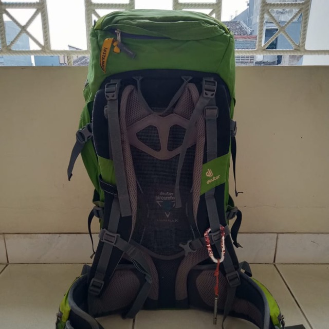 Deuter Futura Pro 36