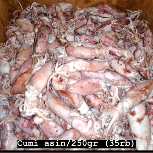 

Cumi Asin (250gr)