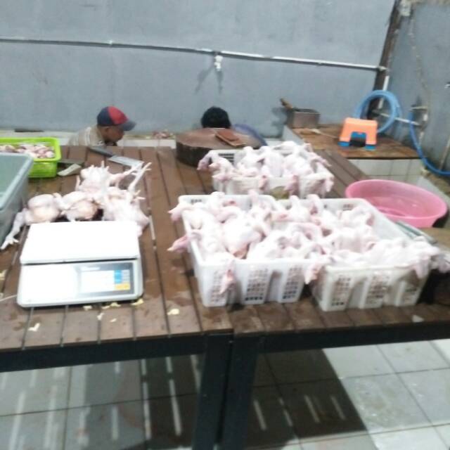 

Ayam potong segar 9 ons(900 gram)PROMO