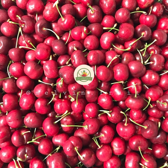 

Buah Cherry USA Fresh