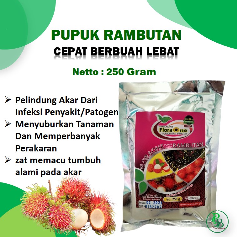 Boster hayati untuk pohon rambutan, nutrisi tanaman agar berbuah lebat