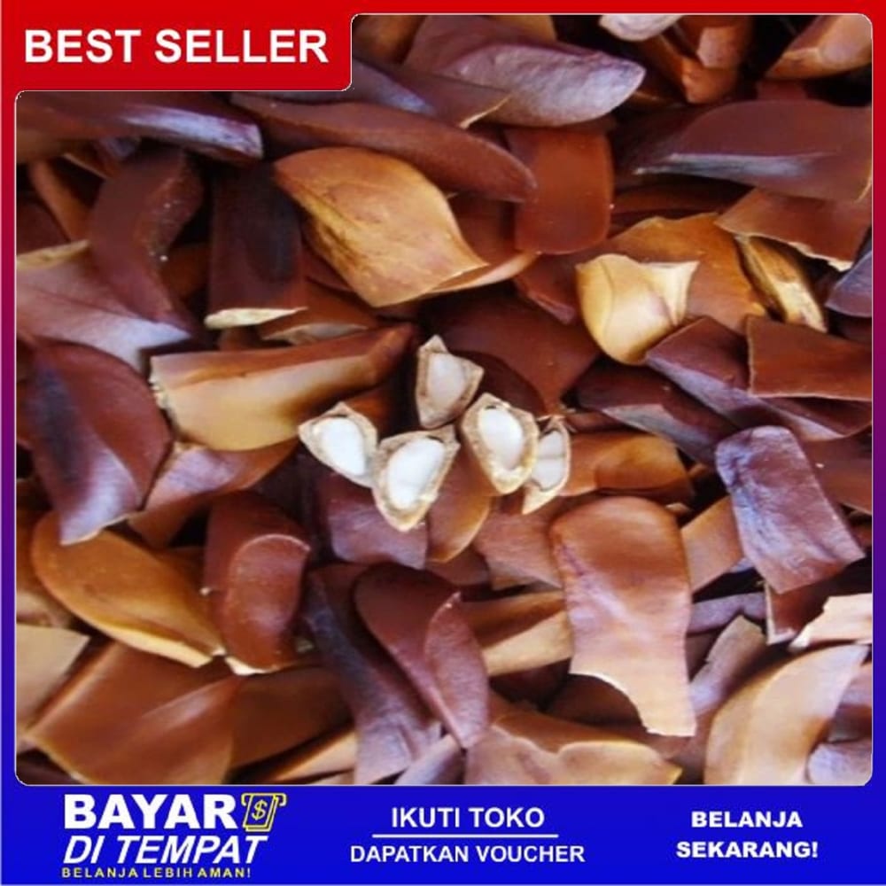 

Ts Murah PROMO 250gr biji mahoni premium murah