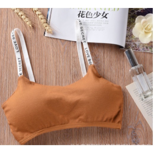 Bra BH Sport Wanita Push Up Sexy Seamless Nilon bralette kutang Fashion Korea BH02