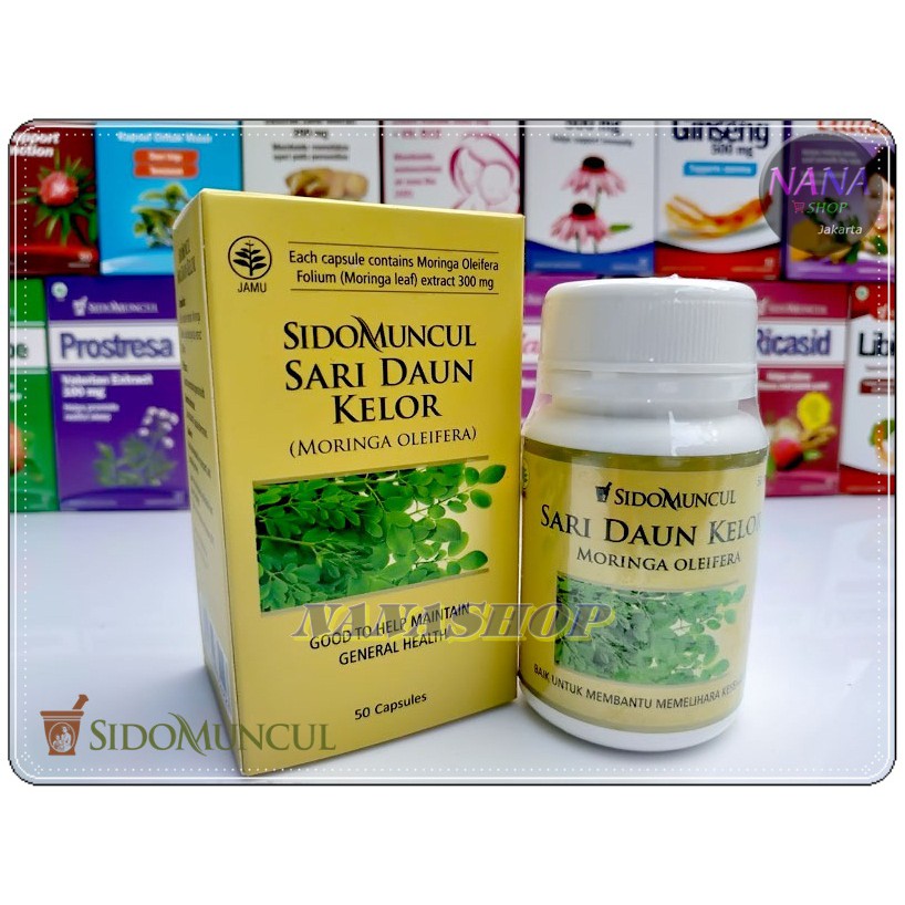 Daun Kelor Sidomuncul  |  Antioksidan Imunitas Herbal | Sari Daun Kelor